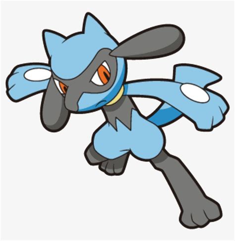 riolu smogon|Riolu (Pokémon) .